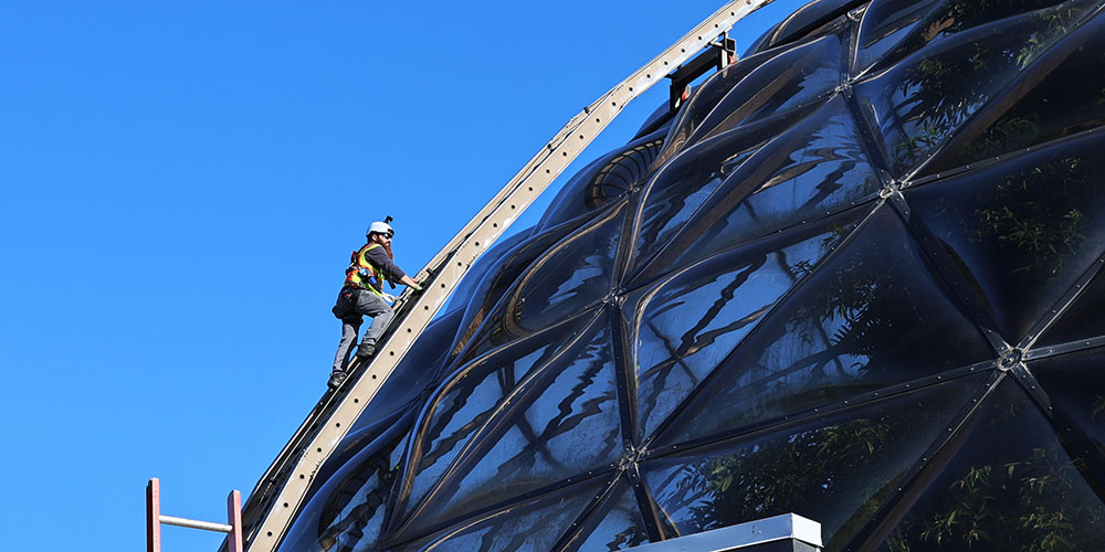Technician climbing a ladder on the dome.