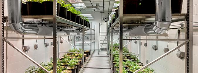 MedPharm Iowa T.I. Build-Out